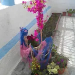 Apartamento Amfi