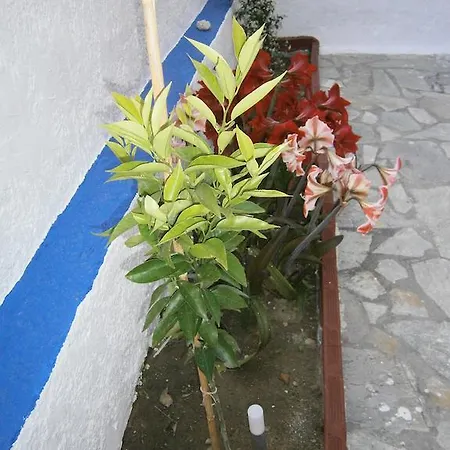 Amfi Appartamento