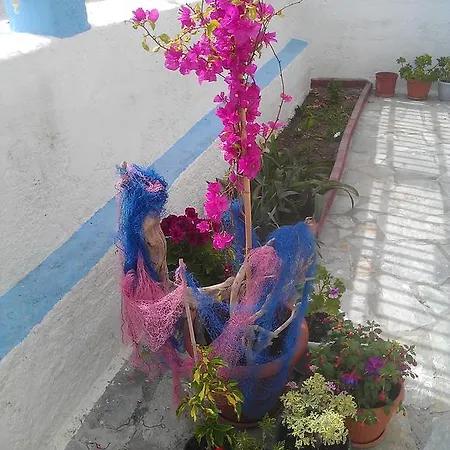 Διαμέρισμα Amfi