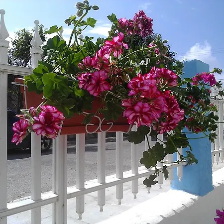 Appartamento Amfi Kardamena (Kos)