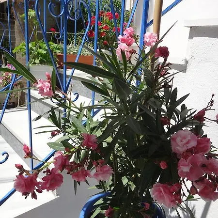 Amfi Kardamena (Kos)