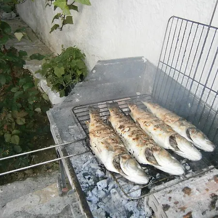 Apartamento Amfi
