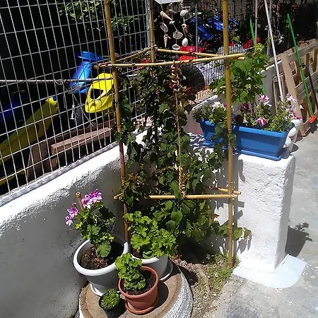 Apartamento Amfi *
